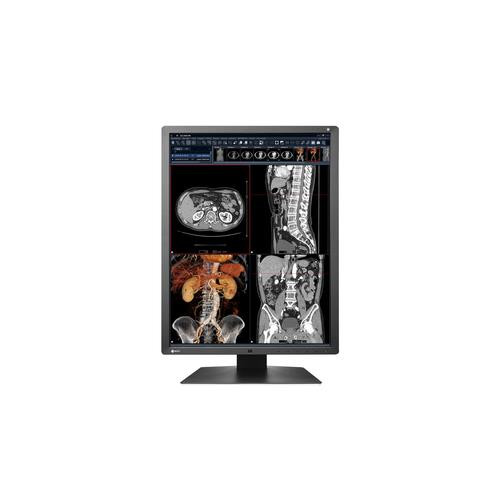 EIZO RadiForce RX250 écran plat de PC 54,1 cm (21.3") 1200 x 1600 pixels LCD Noir - RX250-BK