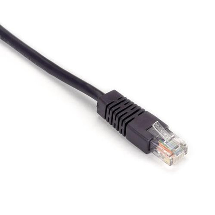 Black Box Cat.5e RJ-45 UTP 9.1m câble de réseau Violet 9,1 m Cat5e U/UTP (UTP) - EVNSL28E-0030