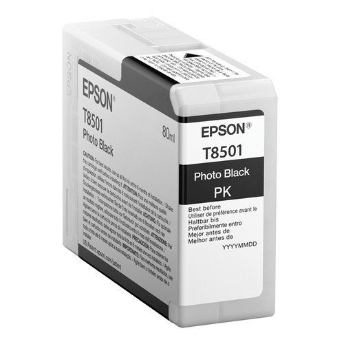 Epson Singlepack Photo Black T850100 - C13T850100