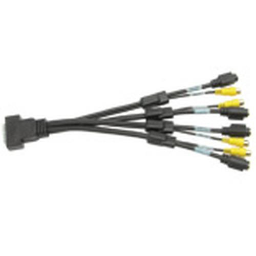 Matrox KX20-to-quad-TV adapter upgrade cable 0,3 m S-Video (4-pin) Noir - CAB-KX20-QTVF