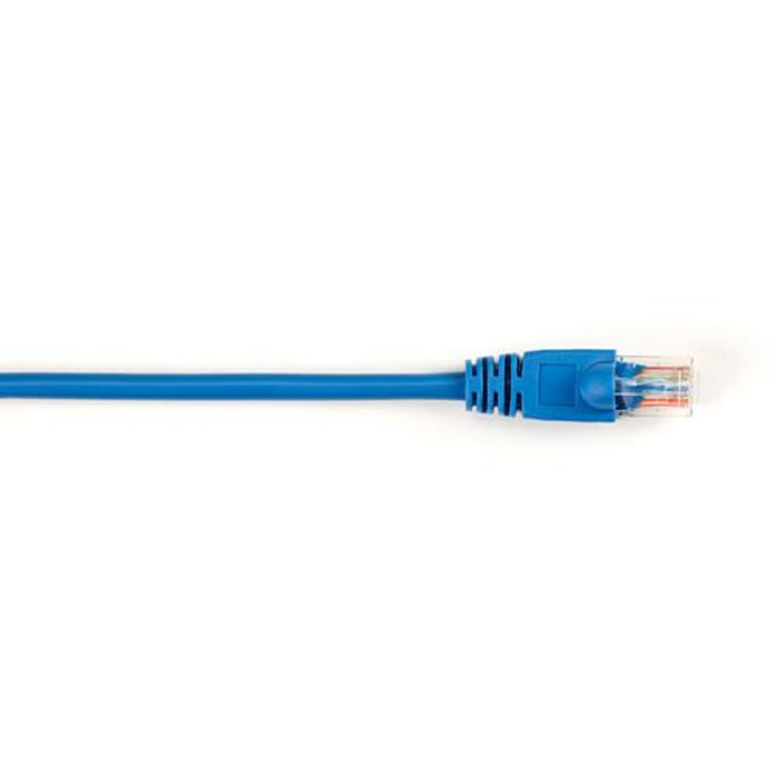 Black Box 25x Value Line Cat5e 3ft câble de réseau Bleu 0,9 m - CAT5EPC-003-BL-25PAK