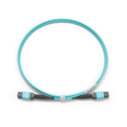 Fluke  câble InfiniBand et à fibres optiques 1 m Bleu - TRC-MPO-UP-B