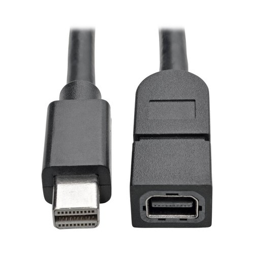 Tripp Lite  câble DisplayPort 3 m Mini DisplayPort Noir - P585-010