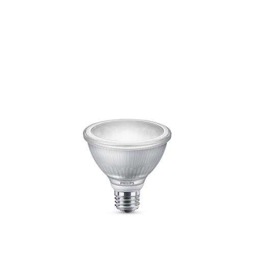 Philips  ampoule LED Lumière de jour 5000 K 110 W E26 - 046677471330