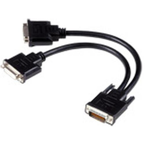 Matrox  câble vidéo et adaptateur 0,3 m 1x LFH60 2x DVI-I Noir - CAB-L60-2XDF