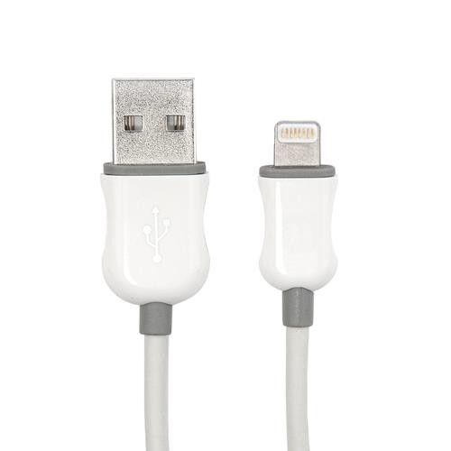 Rocstor  câble Lightning 2 m Blanc - Y10C258-W1