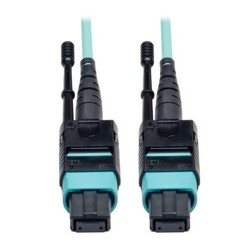 Tripp Lite  câble InfiniBand et à fibres optiques 10,06 m MTP Noir, Turquoise - N844-10M-12-P