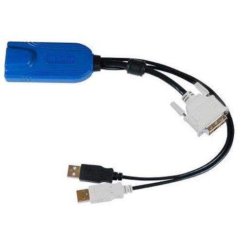 Raritan Digital DVI-D, USB CIM câble kvm Multicolore, Noir 0,3 m - D2CIM-DVUSB-DVI