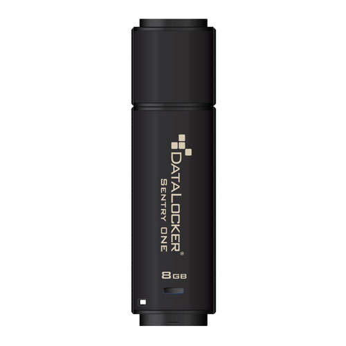 DataLocker Sentry One lecteur USB flash 64 Go USB Type-A 3.2 Gen 1 (3.1 Gen 1) Noir - SONE064
