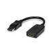 StarTech.com Adaptateur DisplayPort vers HDMI - Convertisseur Vidéo 1080p - Certifié VESA - Câble Adaptateur DP à HDMI pour Moniteur/Écran/Projecteur - Passif - Connecteur DP à Verrouillage - DP2HDMI