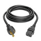 Tripp Lite  câble électrique Noir 3,05 m Coupleur C19 NEMA L5-20P - P045-010