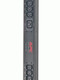 APC Basic Rack PDU unité de distribution d'énergie Noir - AP7598
