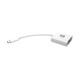 Tripp Lite  adaptateur graphique USB Blanc - U444-06N-DVI-AM