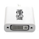 Tripp Lite  adaptateur graphique USB Blanc - U444-06N-DVI-AM