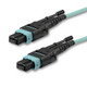 StarTech.com  câble InfiniBand et à fibres optiques 10 m MPO/MTP Couleur aqua - MPO12PL10M