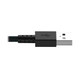 Tripp Lite  câble Lightning 0,3 m Gris - M100-001-GY-MAX