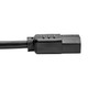 Tripp Lite  câble électrique Noir 1,8 m NEMA 5-15P IEC C13 - P006-006-15D