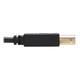 Tripp Lite  câble kvm Noir 3,05 m - P782-010-HA
