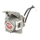 Viewsonic  lampe de projection - RLC-126