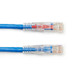 Black Box Cat6 1.5m UTP câble de réseau Bleu 1,5 m U/UTP (UTP) - C6PC80-BL-05