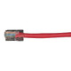 Black Box CAT5e UTP 6m câble de réseau Rouge U/UTP (UTP) - EVCRB03E-0020