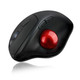 Adesso iMouse T30 souris Bureau Droitier RF sans fil Trackball 4800 DPI - IMOUSE T30
