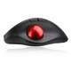 Adesso iMouse T30 souris Bureau Droitier RF sans fil Trackball 4800 DPI - IMOUSE T30