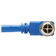 Tripp Lite  accessoire pour réseau industriel - NM12-6A4-01M-BL