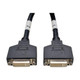 Tripp Lite  câble vidéo et adaptateur 0,3 m DMS 2 x DVI Noir - P576-001