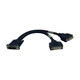 Tripp Lite  câble vidéo et adaptateur 0,3 m DMS 2 x DVI Noir - P576-001