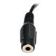 Tripp Lite  câble audio 0,15 m 2 x RCA 3,5mm Noir - P316-06N