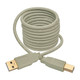 Tripp Lite  câble USB USB 1.1 1,8 m USB A USB B Beige - U022-006-BE