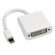 Axiom 0.1m, Mini DisplayPort/DVI 0,1 m Blanc - MB570LL/B-AX