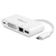 StarTech.com Adaptateur Multiport USB C - Adaptateur Vidéo USB-C vers DVI-D (numérique) avec 60W PD Passthrough Charging, GbE, USB-A - Station d'Accueil Portable pour PC USB Type-C et Thunderbolt 3 - DKT30CDVPD