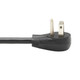 Tripp Lite  câble électrique Noir 3,1 m NEMA 5-15P NEMA 5-15R - P024-010-15D