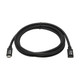 Tripp Lite  câble USB USB 3.2 Gen 1 (3.1 Gen 1) 1,83 m USB C Noir - U421-006