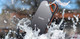 SanDisk Extreme PRO 4 To USB Type-C 3.2 Gen 2 (3.1 Gen 2) Noir, Orange - SDSSDE81-4T00-G25 SanDisk Extreme PRO 4 To USB Type-C 3.2 Gen 2 (3.1 Gen 2) Noir, Orange - SDSSDE81-4T00-G25