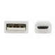Tripp Lite  câble USB USB 2.0 1,83 m USB A Micro-USB B Blanc - U050AB-006-WH