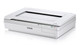 Epson  scanner Scanner à plat 600 x 600 DPI A4 Blanc - B11B204121