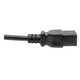 Tripp Lite  câble électrique Noir 0,09 m Coupleur C19 - P070-010
