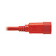 Tripp Lite  câble électrique Rouge 1,8 m Coupleur C14 Coupleur C13 - P005-006-ARD