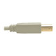 Tripp Lite  câble USB USB 2.0 3,1 m USB A USB B Beige - U022-010-BE