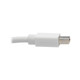Tripp Lite  câble DisplayPort 0,9 m Mini DisplayPort Blanc - P139-003-DP-V2B