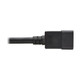 Tripp Lite  câble électrique Noir 3,05 m Coupleur C20 Coupleur C21 - P035-010