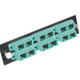 C2G Q-Series™ 12-Strand, SC Duplex, Zirconia Insert, SM, APC, SC Adapter Panel - 31106