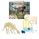 HamiltonBuhl  coffret de sciences pour enfant - PH-STS