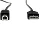 Rocstor  câble USB USB 2.0 1,8 m USB A USB B Noir - Y10C116-B1