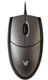 V7  souris Bureau USB Type-A Optique 1000 DPI - MV3000010-5NC