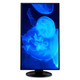 V7  écran plat de PC 68,6 cm (27") 2560 x 1440 pixels Quad HD LED Noir - L27HAS2K-2N