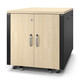 APC NetShelter - Rack informatique insonorisé - 12U - Finition Erable - AR4012A